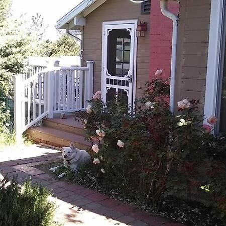 Blue Bird Cottage - Pet Friendly Julian Exterior photo