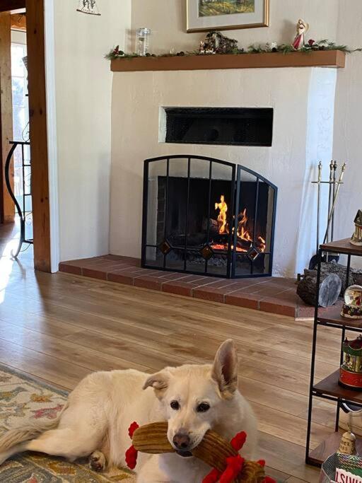Blue Bird Cottage - Pet Friendly Julian Exterior photo