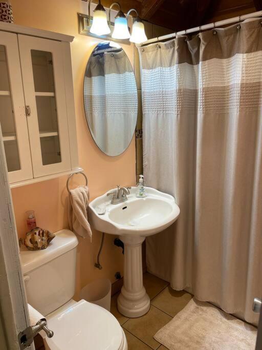 Blue Bird Cottage - Pet Friendly Julian Exterior photo