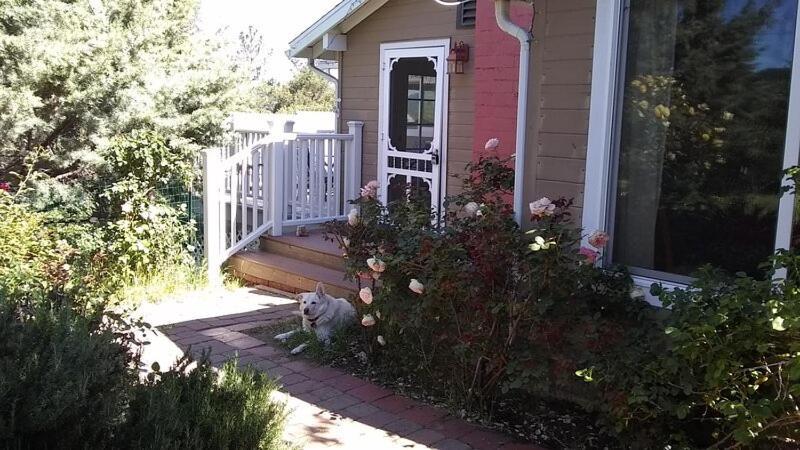 Blue Bird Cottage - Pet Friendly Julian Exterior photo